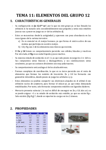TEMA-11-ELEMENTOS-DEL-GRUPO-12.pdf