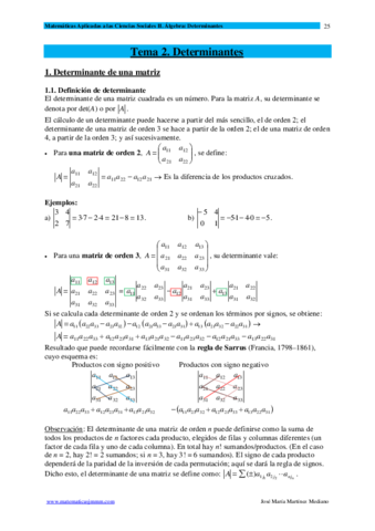 Determinantes teoría