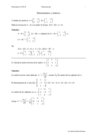 Determinantes-problemas.pdf
