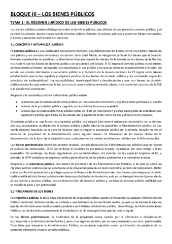 BLOQUE-III-Bienes-publicos.pdf