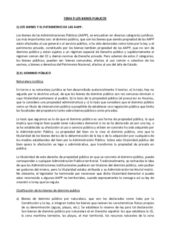 Derecho-administrativo-II-Tema-9.pdf