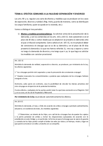 TEMA-6-Completo.pdf