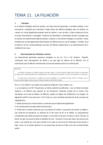 TEMA-11-Completo.pdf