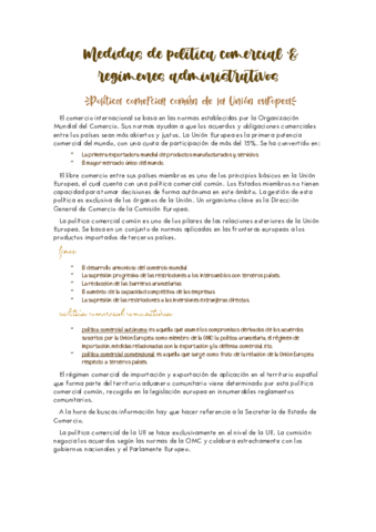 Medidas-de-politica-comercial.pdf