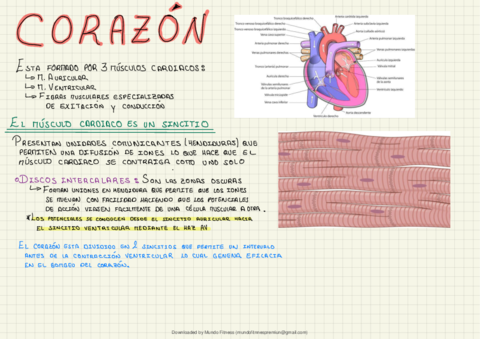 Fisiologia-celula-eucariota.pdf