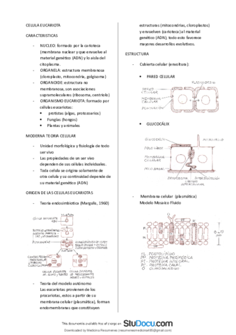 Celula-Eucariota-CARACTERISTICAS-Y-ESTRUCTURA-Y-FUNCIONES.pdf