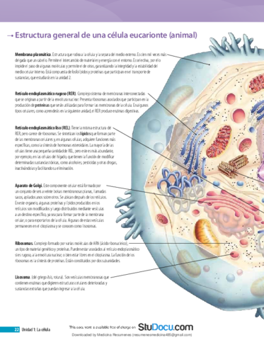 Informacion-Celula-Eucariota.pdf