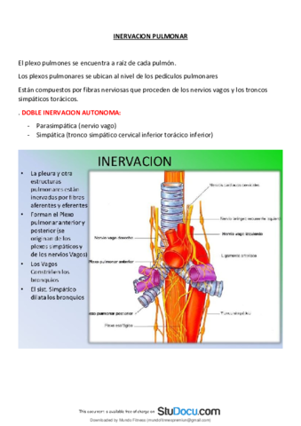 Inervacion-pulmonar.pdf