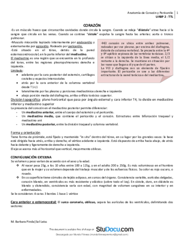 Anatomia-Corazon-y-Pericardio1.pdf