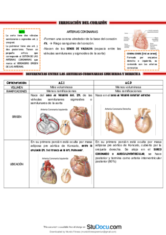 Generalidades-de-la-Irrigacion-del-Corazon-1-Principales-Anastomosis-Cardiovasculares.pdf