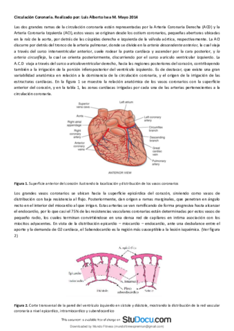 Circulacion-Coronaria-fisiologia-cardiovascular-irrigacion-del-corazon.pdf