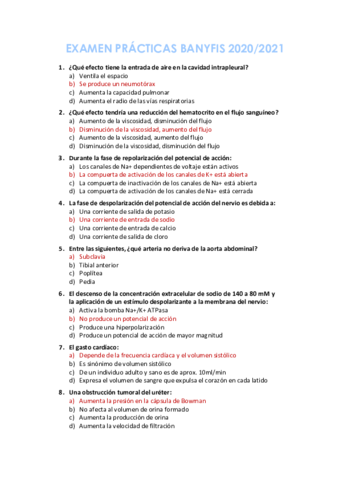 Preguntas-examen-practicas-Banyfis.pdf