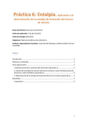 Informe-practica-6-OBL.pdf