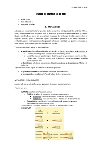 UNIDAD-16-cambios-adn.pdf