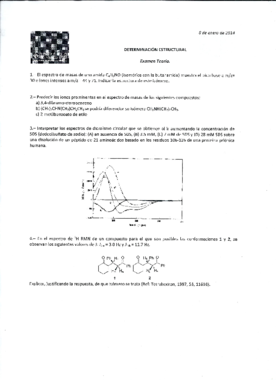 Examen Determinación Estructural Enero 2014.pdf