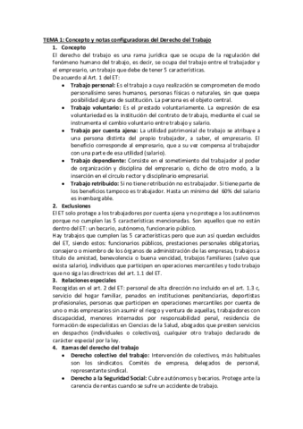 Apuntes-derecho-del-trabajo-Rocio-Molina.pdf