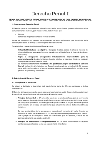 Derecho Penal I (teoría jurídica del delito) COMPLETO.pdf