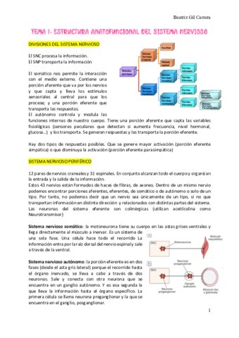 Todo-Psicofisiologia.pdf