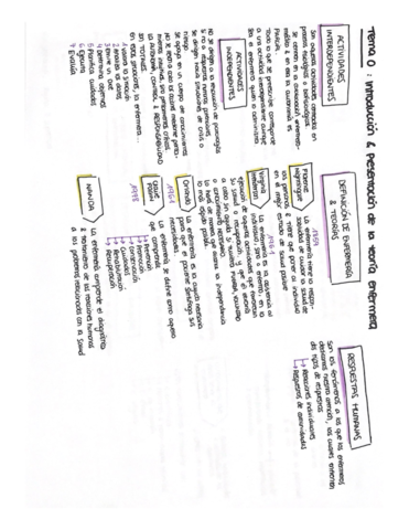 ESQUEMAS-TEORIAS.pdf