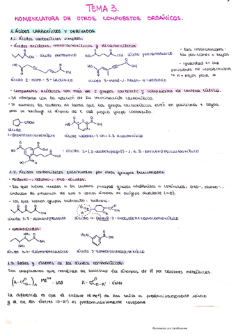 tema-3-gfoe.pdf