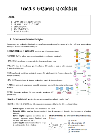 tema-8-bioquimica.pdf