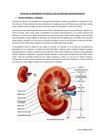 Nefrologia-MQ2.pdf