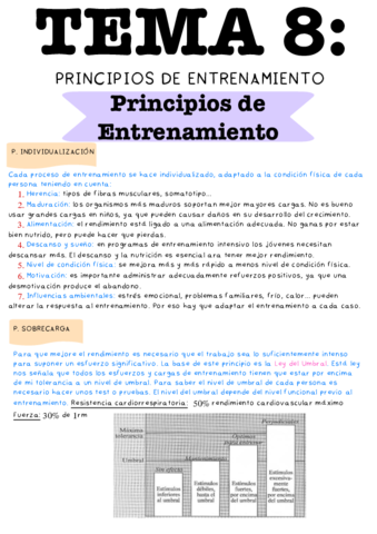 Tema-8-Principios-de-Entrenamiento.pdf