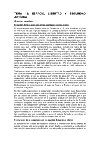 TEMA-13.pdf