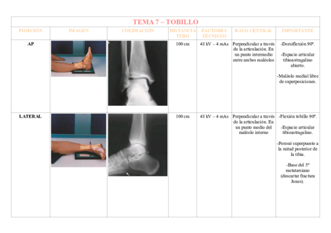 TEMA-7-TOBILLO.pdf