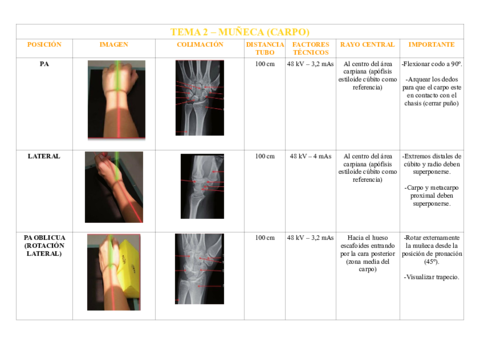 TEMA-2-MUNECA-CARPO.pdf