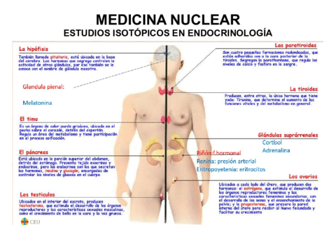 TEMA-10.pdf