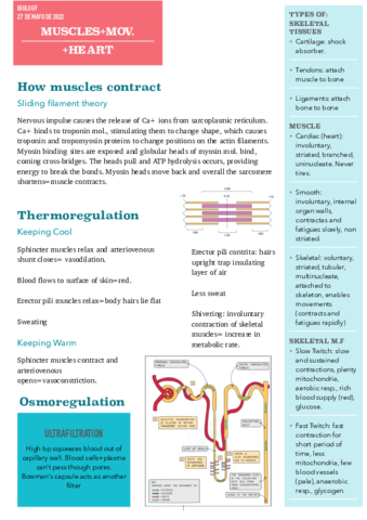 muscles-pdf.pdf