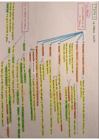 La-fabula.pdf