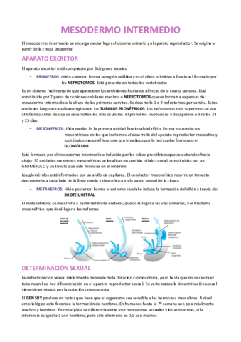 MESODERMO-INTERMEDIO-EMBRIOLOGIA.pdf