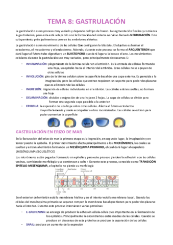 TEMA-8-EMBRIOLOGIA.pdf