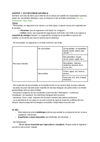 Copia-de-Tema-1-de-geografia.pdf