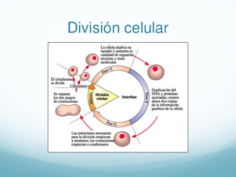 5.pdf