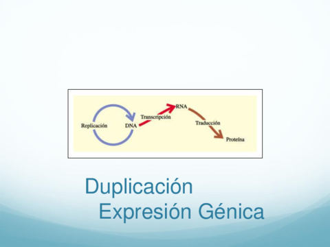 3.pdf