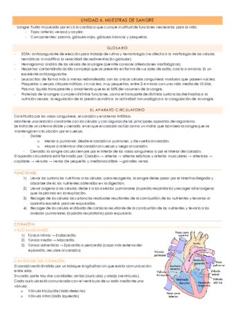 UNIDAD-6.pdf