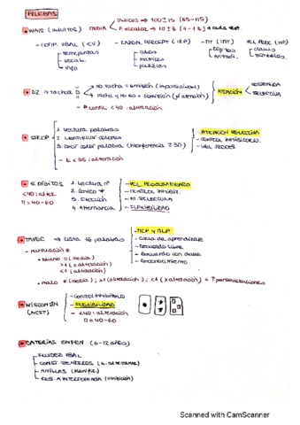 PRUEBAS-NEUROPSICOLOGICAS.pdf