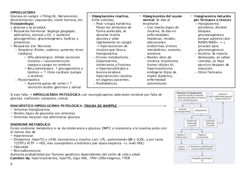 hipoglucemia.pdf