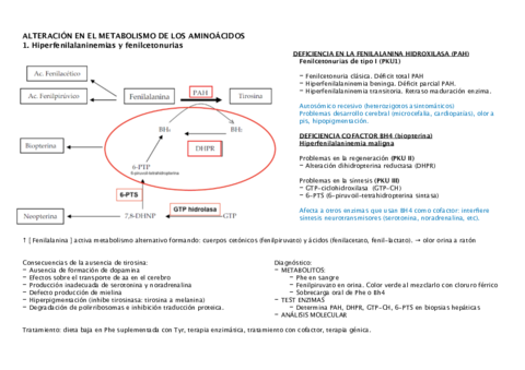 alteracion-metabolismo-aa-tema-7.pdf