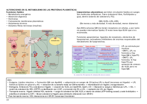 alteracion-metab.pdf