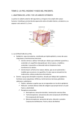 TEMA-2-tecnicas-basicas.pdf
