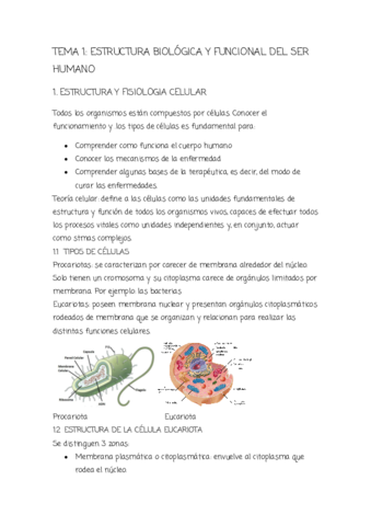 TEMA-1-tbe.pdf