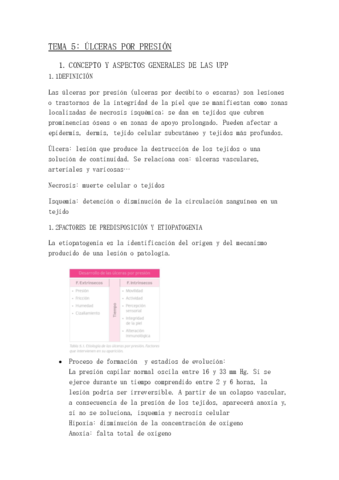 TEMA-5.pdf