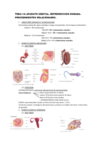 TEMA-14-TBE.pdf