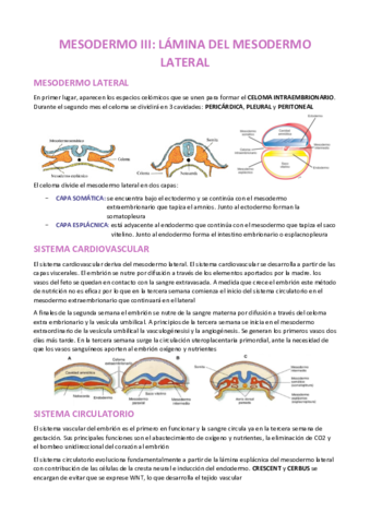 MESODERMO-III-EMBRIOLOGIA.pdf