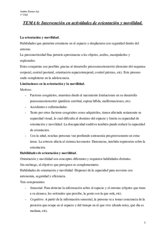 TEMA-6-resumen.pdf