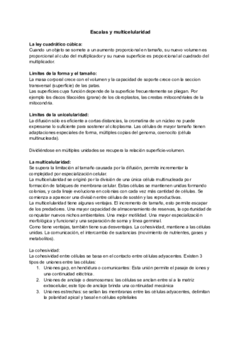 Documento-sin-titulo-3.pdf